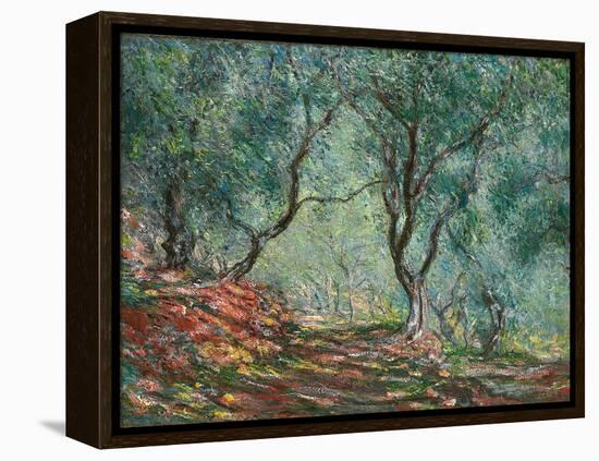 Olive Trees in the Moreno Garden; Bois D'oliviers Au Jardin Moreno, 1884 (Oil on Canvas)-Claude Monet-Framed Premier Image Canvas