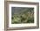 Olive Trees, Majorca, the Balearic Islands, Spain-Rainer Mirau-Framed Photographic Print