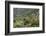 Olive Trees, Majorca, the Balearic Islands, Spain-Rainer Mirau-Framed Photographic Print