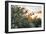 Olive Trees on Sunset. Sun Rays-Deyan Georgiev-Framed Photographic Print