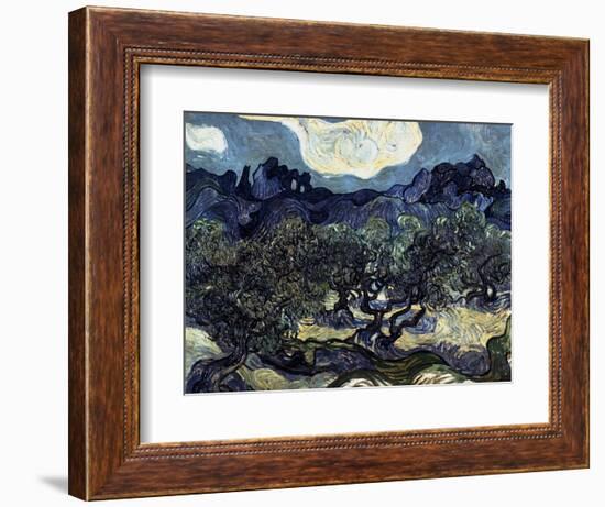 Olive Trees with the Alpilles in the Background-Vincent van Gogh-Framed Giclee Print