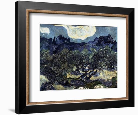 Olive Trees with the Alpilles in the Background-Vincent van Gogh-Framed Giclee Print