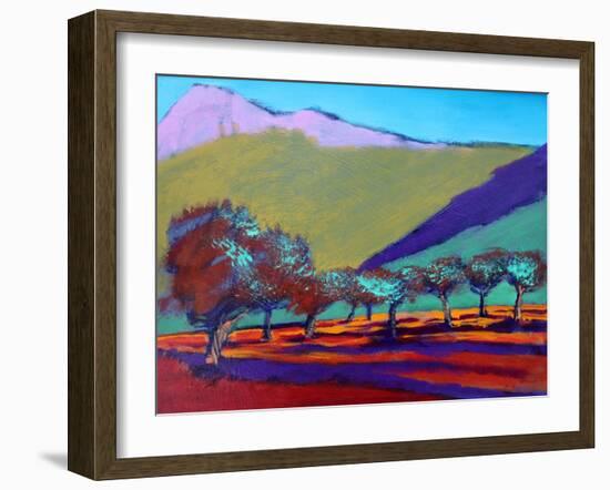 Olive Trees-Paul Powis-Framed Giclee Print