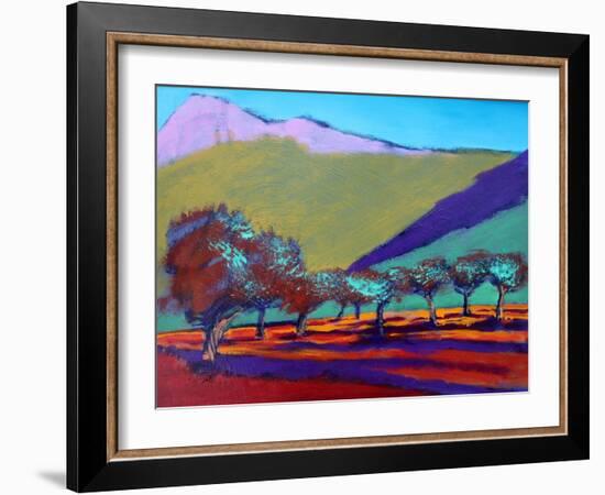 Olive Trees-Paul Powis-Framed Giclee Print