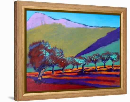 Olive Trees-Paul Powis-Framed Premier Image Canvas