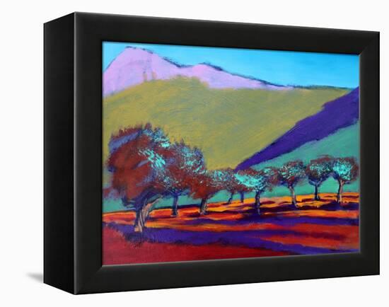 Olive Trees-Paul Powis-Framed Premier Image Canvas