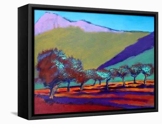 Olive Trees-Paul Powis-Framed Premier Image Canvas