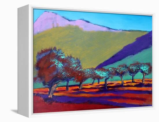 Olive Trees-Paul Powis-Framed Premier Image Canvas