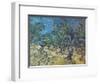 'Olivenbaeume (Les Oiliviers), 1889' Giclee Print - Vincent van Gogh ...