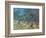 Olivenbaeume (Les Oiliviers), 1889-Vincent van Gogh-Framed Giclee Print