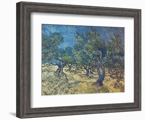 Olivenbaeume (Les Oiliviers), 1889-Vincent van Gogh-Framed Giclee Print