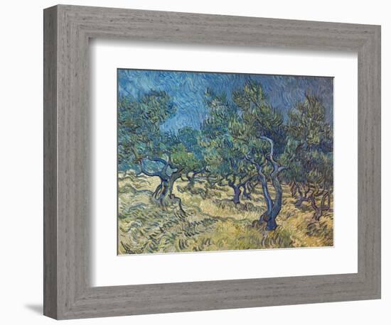 Olivenbaeume (Les Oiliviers), 1889-Vincent van Gogh-Framed Giclee Print
