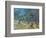Olivenbaeume (Les Oiliviers), 1889-Vincent van Gogh-Framed Giclee Print