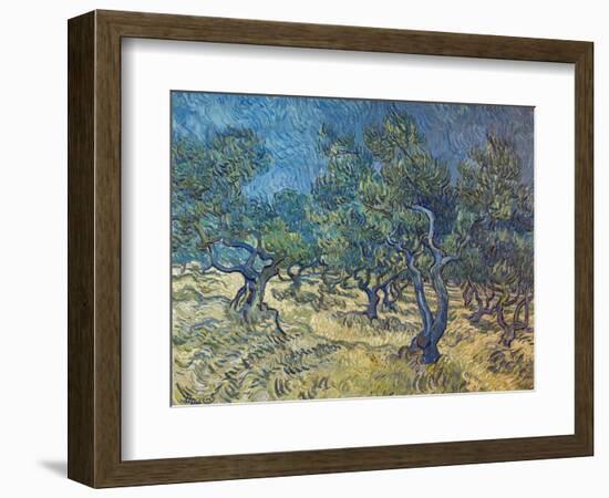 Olivenbaeume (Les Oiliviers), 1889-Vincent van Gogh-Framed Giclee Print