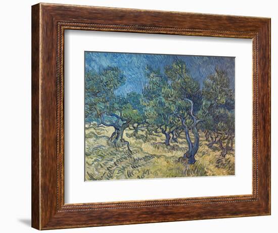 Olivenbaeume (Les Oiliviers), 1889-Vincent van Gogh-Framed Giclee Print