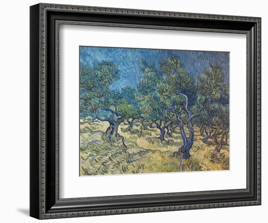 Olivenbaeume (Les Oiliviers), 1889-Vincent van Gogh-Framed Giclee Print