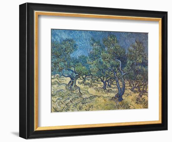 Olivenbaeume (Les Oiliviers), 1889-Vincent van Gogh-Framed Giclee Print