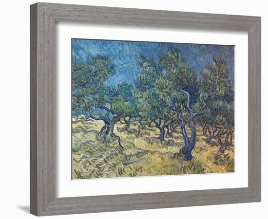 Olivenbaeume (Les Oiliviers), 1889-Vincent van Gogh-Framed Giclee Print