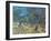 Olivenbaeume (Les Oiliviers), 1889-Vincent van Gogh-Framed Giclee Print