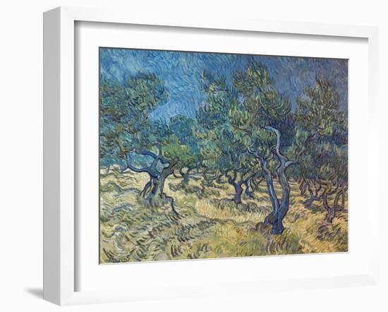 Olivenbaeume (Les Oiliviers), 1889-Vincent van Gogh-Framed Giclee Print