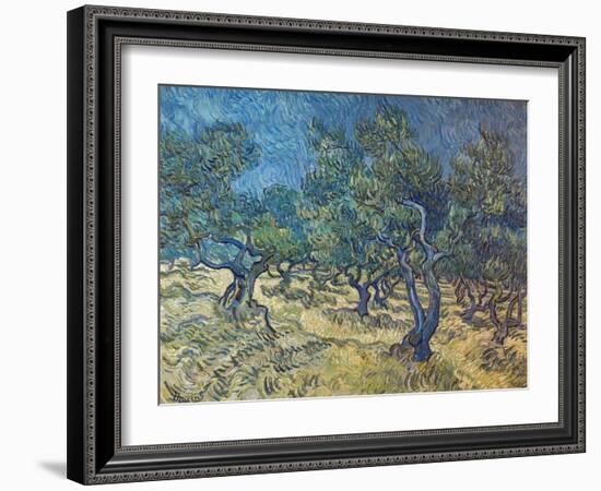 Olivenbaeume (Les Oiliviers), 1889-Vincent van Gogh-Framed Giclee Print