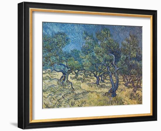 Olivenbaeume (Les Oiliviers), 1889-Vincent van Gogh-Framed Giclee Print