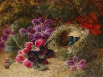Apple Blossoms, a Primrose and Birds Nest on a Mossy Bank-Oliver Clare-Giclee Print