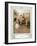 Oliver Goldsmith 's play She Stoops to Conque-Hugh Thomson-Framed Giclee Print