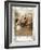 Oliver Goldsmith 's play She Stoops to Conque-Hugh Thomson-Framed Giclee Print