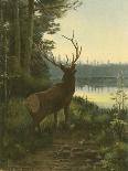 Moose-Oliver Kemp-Art Print