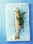 Charr with Dill-Oliver Schwarzwald-Photographic Print
