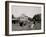 Oliver W., the Famous Trotting Ostrich at Florida Ostrich Farm, Jacksonville-null-Framed Photo