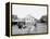 Oliver W., the Famous Trotting Ostrich, Florida Ostrich Farm, Jacksonville, Florida-null-Framed Stretched Canvas