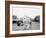 Oliver W., the Famous Trotting Ostrich, Florida Ostrich Farm, Jacksonville, Florida-null-Framed Photo