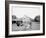 Oliver W., the Famous Trotting Ostrich, Florida Ostrich Farm, Jacksonville, Florida-null-Framed Photo