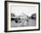 Oliver W., the Famous Trotting Ostrich, Florida Ostrich Farm, Jacksonville, Florida-null-Framed Photo