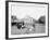 Oliver W., the Famous Trotting Ostrich, Florida Ostrich Farm, Jacksonville, Florida-null-Framed Photo