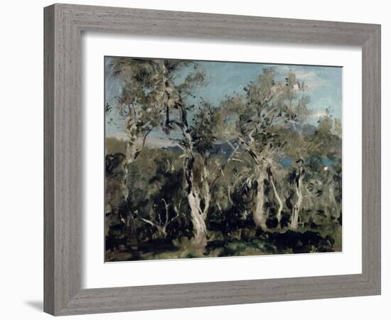 Olives, Corfu, 1912-John Singer Sargent-Framed Giclee Print