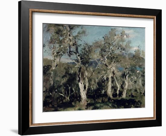 Olives, Corfu, 1912-John Singer Sargent-Framed Giclee Print