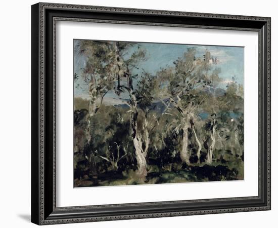 Olives, Corfu, 1912-John Singer Sargent-Framed Giclee Print