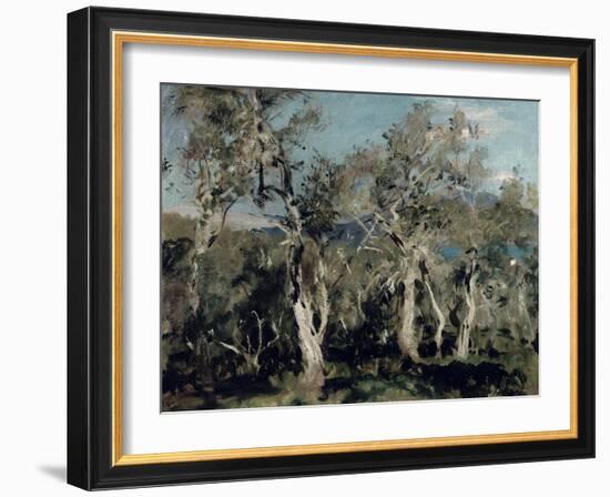 Olives, Corfu, 1912-John Singer Sargent-Framed Giclee Print