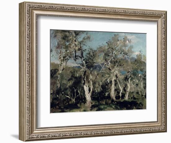 Olives, Corfu, 1912-John Singer Sargent-Framed Giclee Print