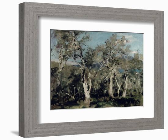 Olives, Corfu, 1912-John Singer Sargent-Framed Giclee Print