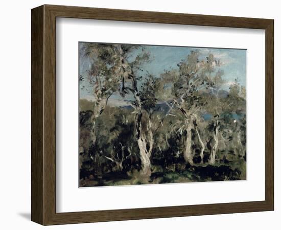 Olives, Corfu, 1912-John Singer Sargent-Framed Giclee Print