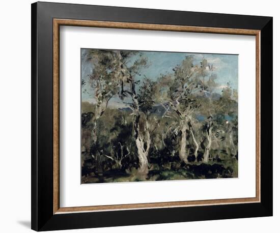 Olives, Corfu, 1912-John Singer Sargent-Framed Giclee Print