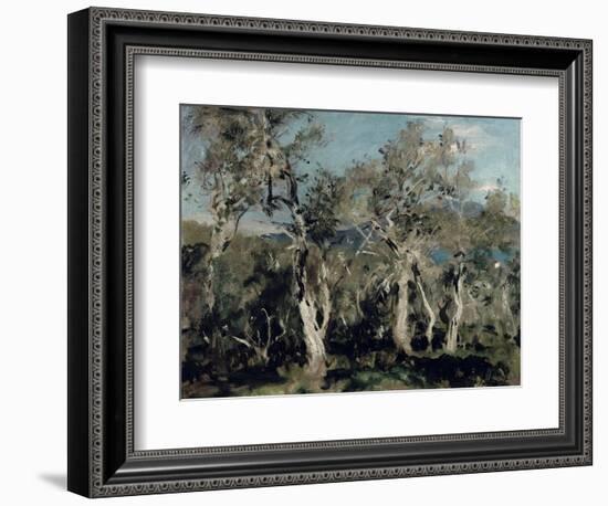 Olives, Corfu, 1912-John Singer Sargent-Framed Giclee Print