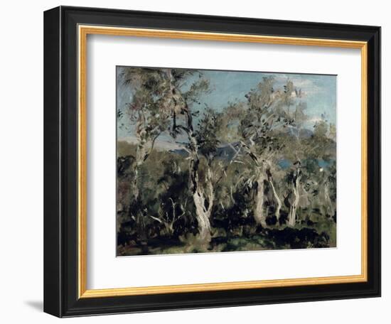 Olives, Corfu, 1912-John Singer Sargent-Framed Giclee Print