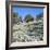 Olives Groves and Wild Flowers, Greece, Europe-Tony Gervis-Framed Photographic Print