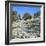 Olives Groves and Wild Flowers, Greece, Europe-Tony Gervis-Framed Photographic Print