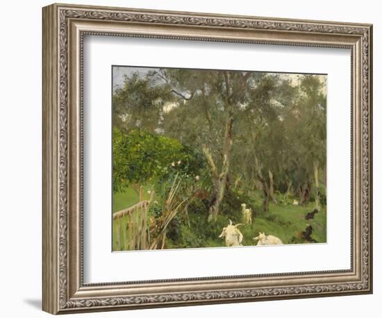 Olives in Corfu, 1909-John Singer Sargent-Framed Giclee Print